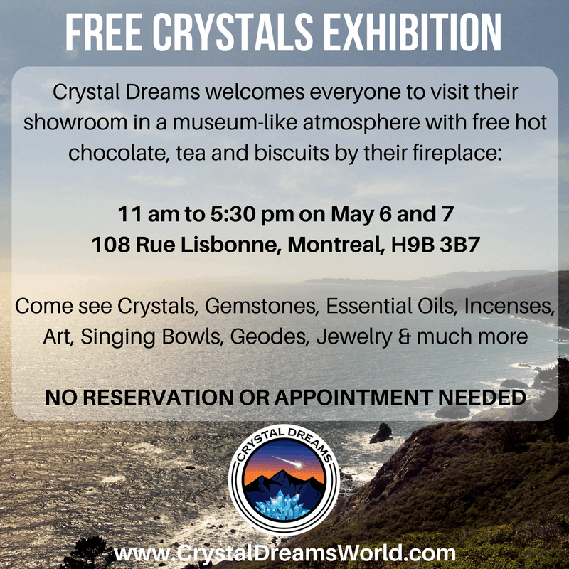 Spring Open House at Crystal Dreams