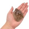 Smoky Quartz Rough - Crystal Dreams