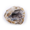 Rough Agate Geode Occos Cluster