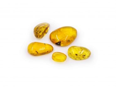 Amber with fossil insect polished gem - Crystal Dreams