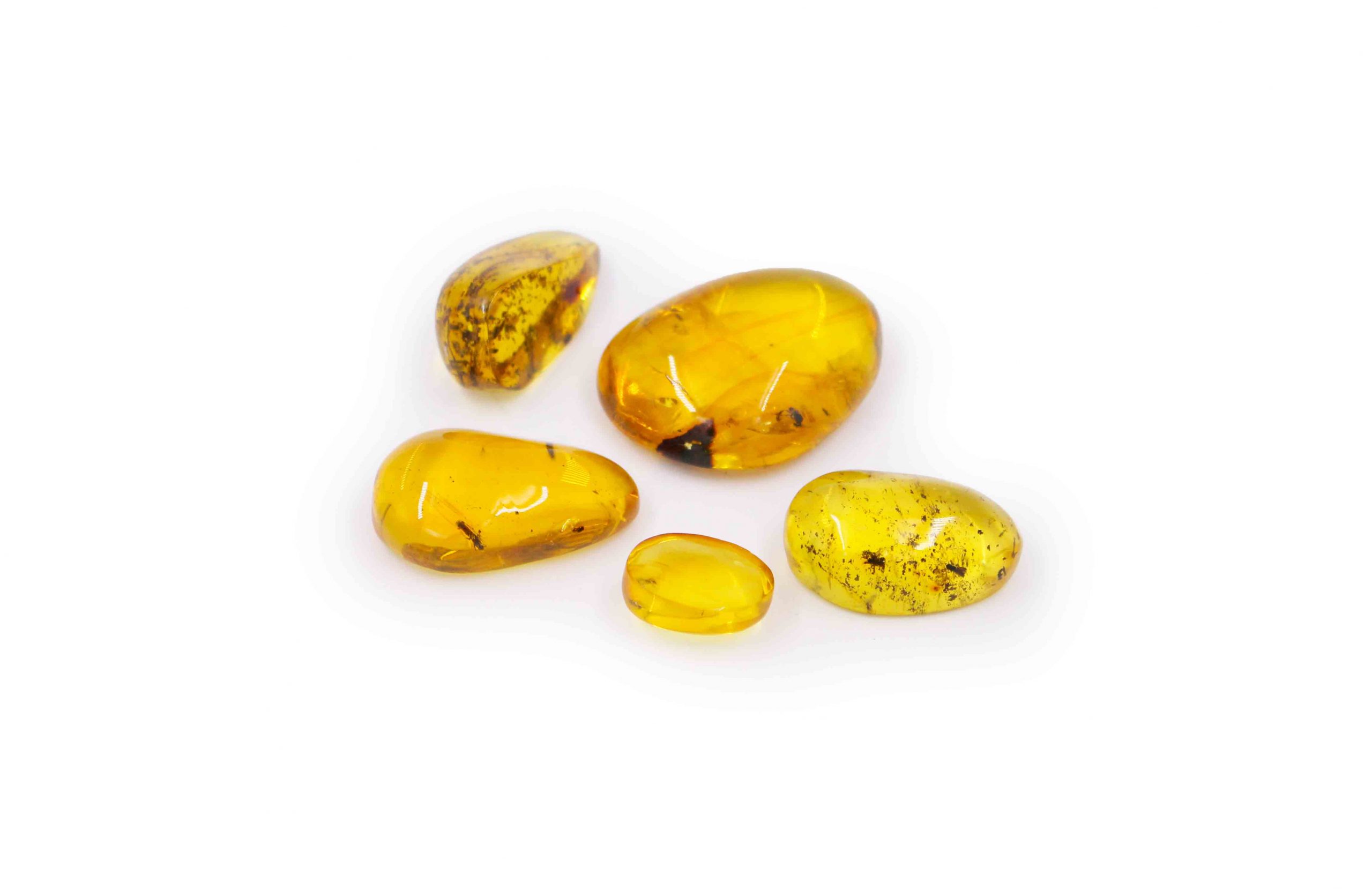 Amber with fossil insect polished gem - Crystal Dreams