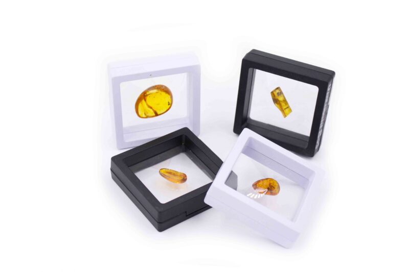 Amber with fossil insect polished gem in box - Crystal Dreams
