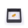 Amber with fossil insect polished gem in box - Crystal Dreams