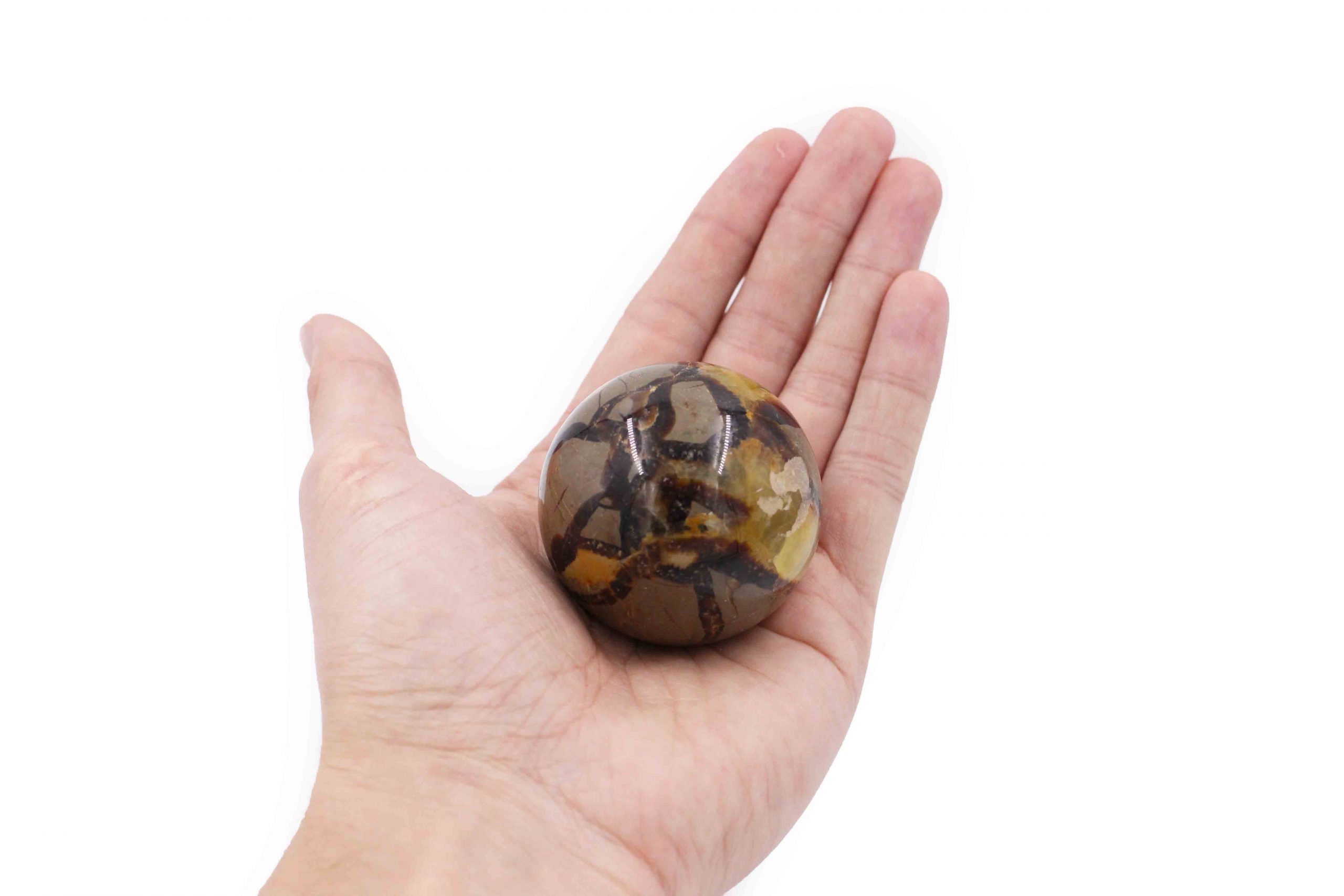 Septarian Sphere M Polished Crystal Dreams World