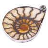 Ammonite Pendant - Crystal Dreams
