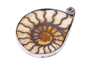 Pendentif en ammonite