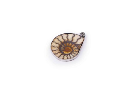 Ammonite Pendant