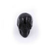 Obsidian Skull-Crystal Dreams