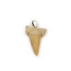 Shark tooth Pendant Sterling Silver - Crystal Dreams