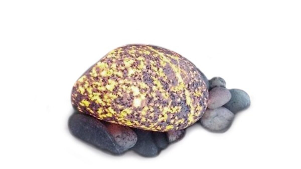 Yooperlite Brute Naturelle - Pierres De Feu Pour Chakra Reiki - Spécimens Minéraux