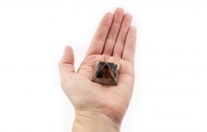 Pyramide d’orgone – tourmaline noire (S)