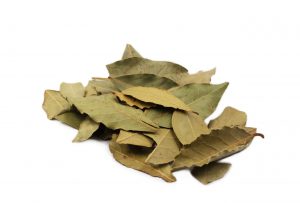 Herbes de feuilles de laurier