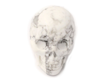 Howlite Skull - Crystal Dreams
