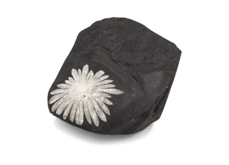 Chrysanthemum Polished Free Form - Crystal Dreams
