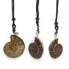 Ammonite Necklace Pendant - Crystal Dreams