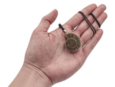 Ammonite Necklace Pendant - Crystal Dreams
