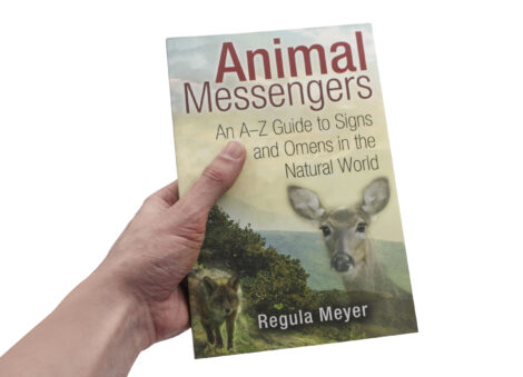 Animal Messengers - Crystal Dreams