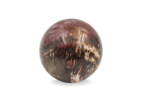 Petrified Wood Sphere - Crystal Dreams