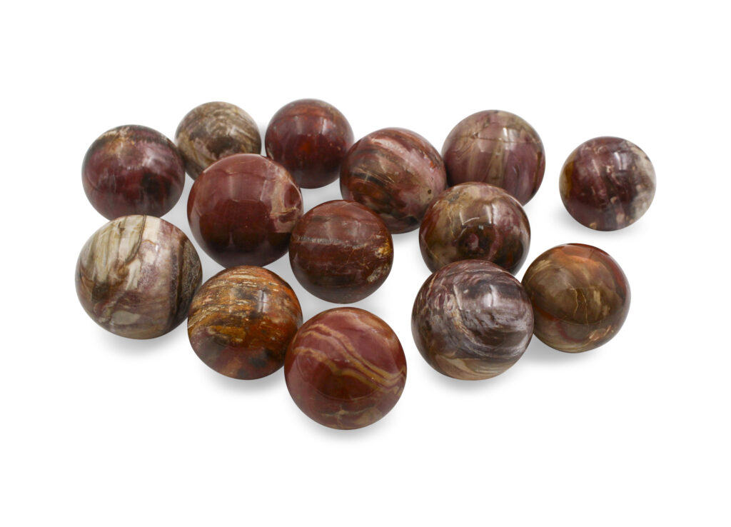 Petrified Wood Sphere - Crystal Dreams