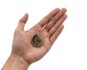 Pendentif ammonite en argent sterling