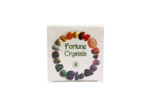 Kit de talismans “fortune crystals” (version anglaise seulement)