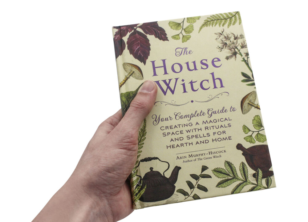 the house of the witch book