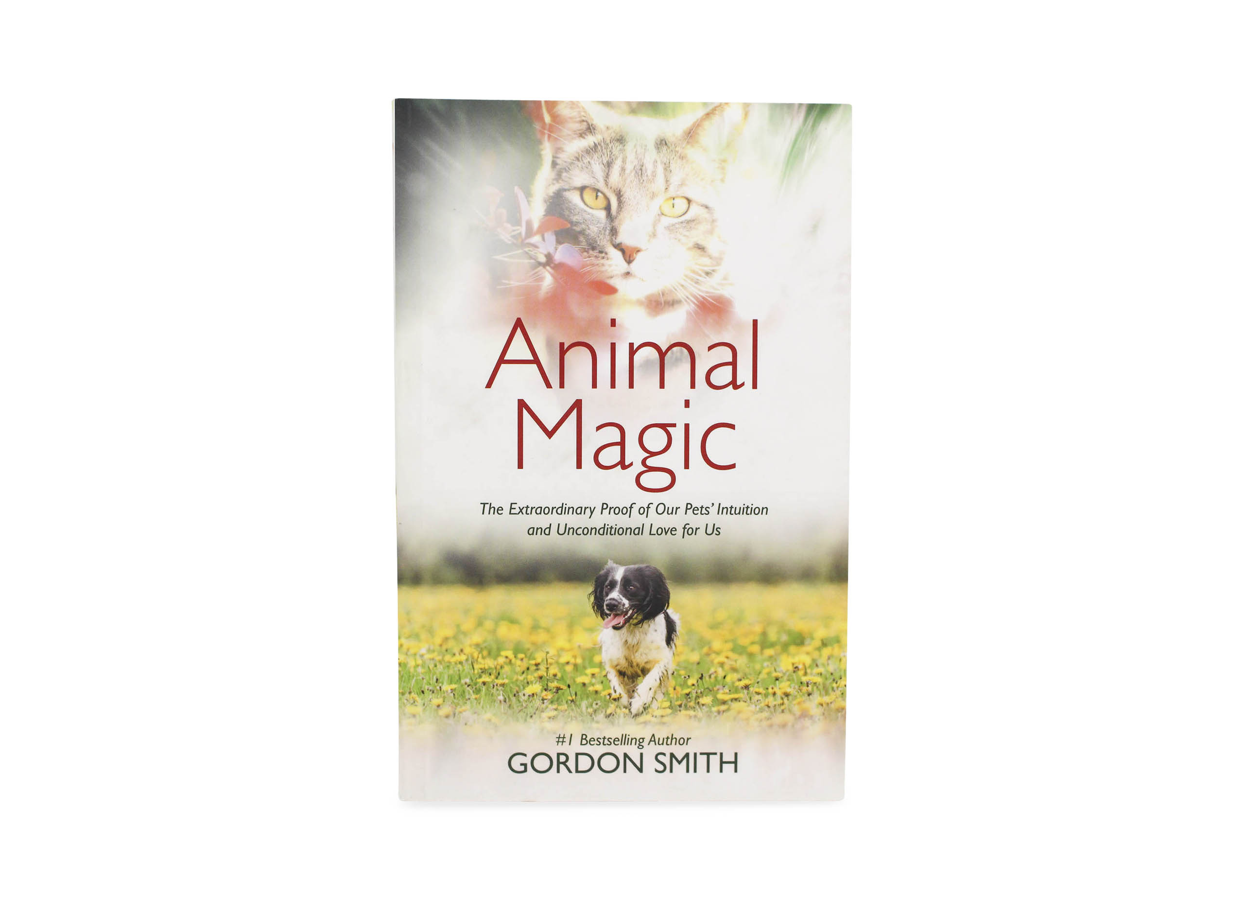 Animal Magic Book - Crystal Dreams World