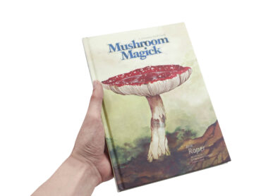 Mushroom Magick - Crystal Dreams