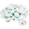Blue Aragonite Palm Stone - Crystal Dreams