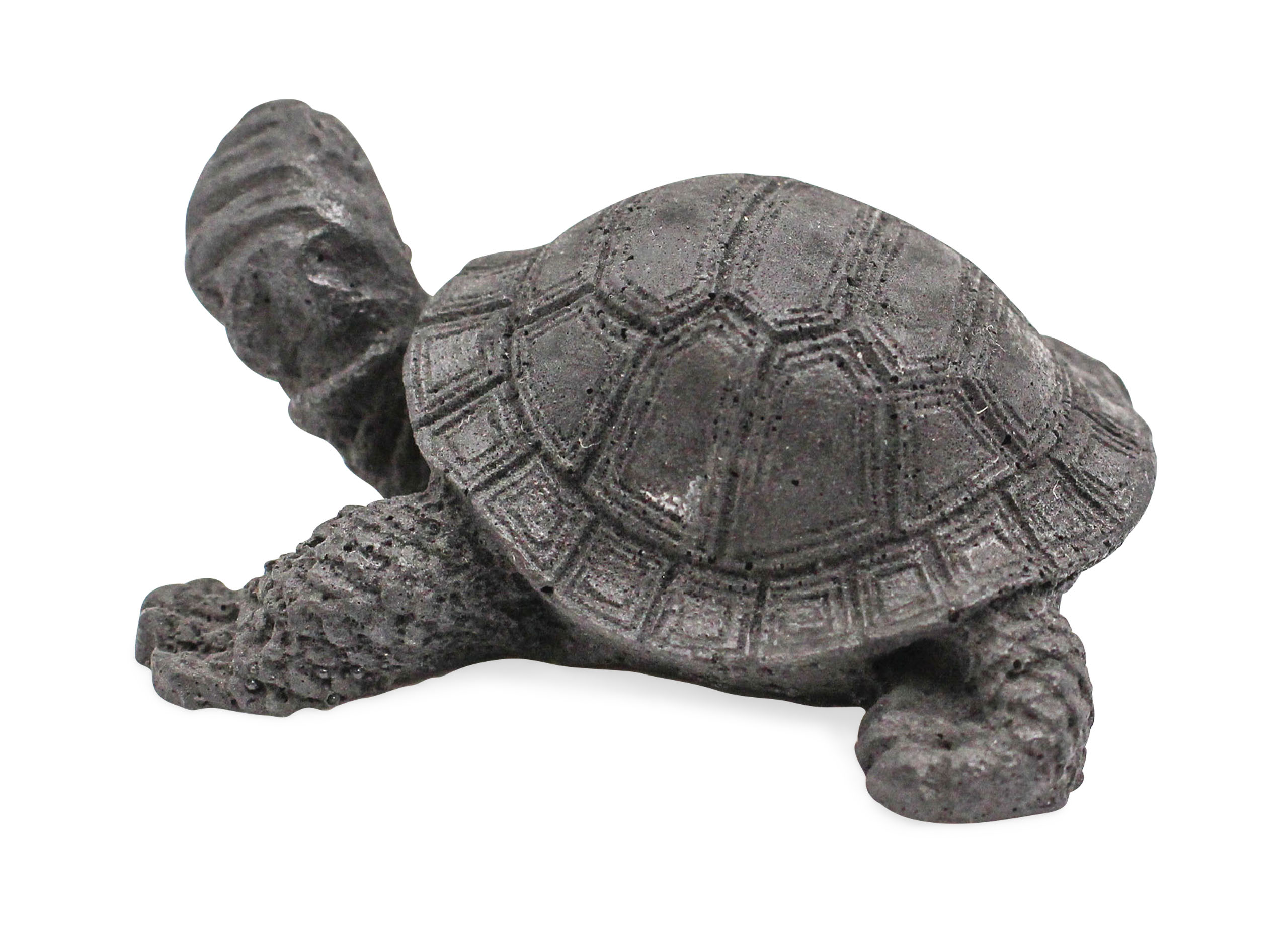 Shungite Turtle Figurine - Crystal Dreams