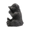 Shungite Bear Figurine - Crystal Dreams