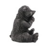 Shungite Bear Figurine - Crystal Dreams