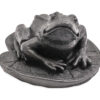 Shungite Frog Figurine - Crystal Dreams