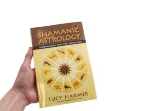 Shamanic Astrology Book
