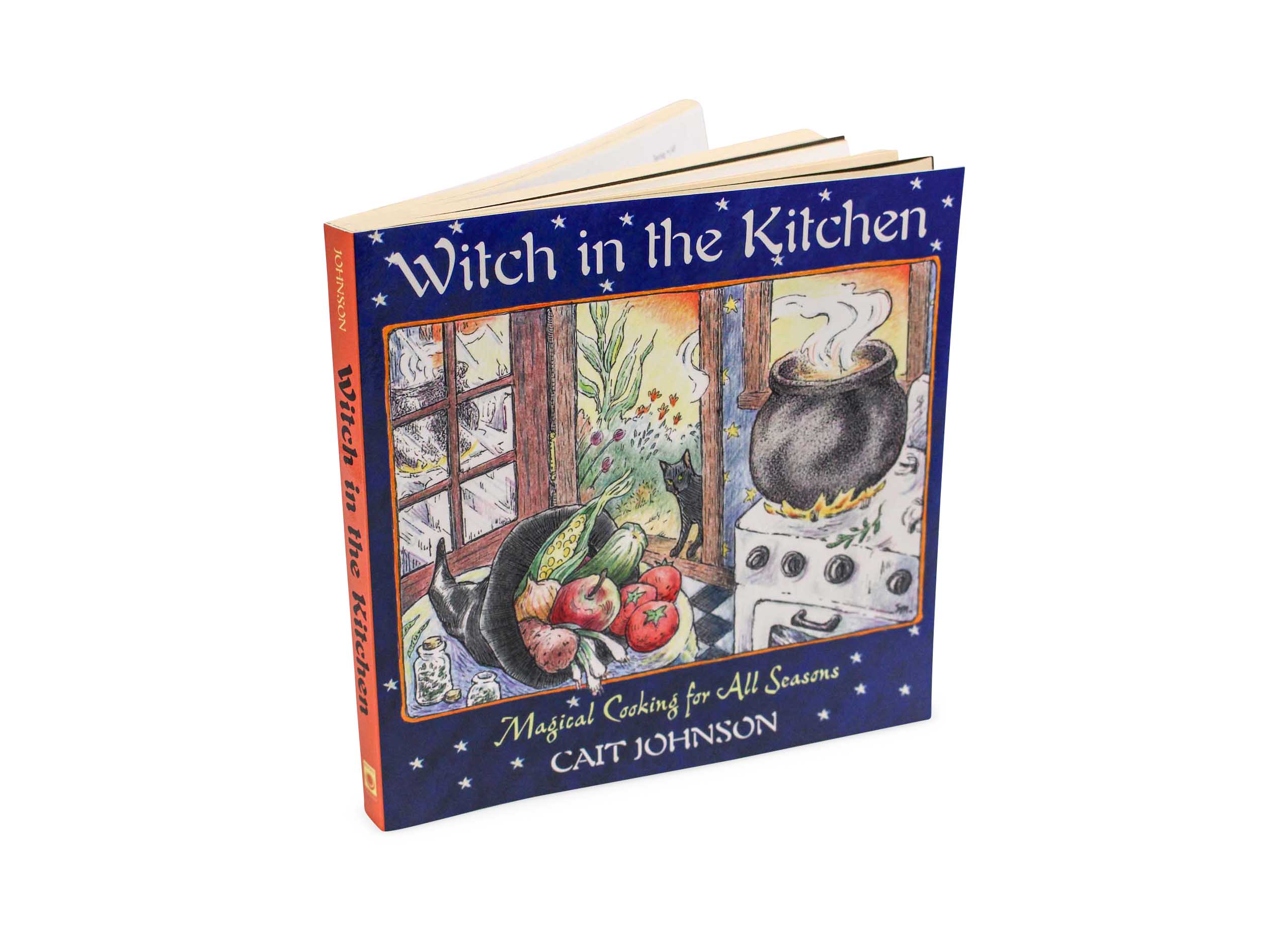 Witch in the Kitchen Book - Crystal Dreams