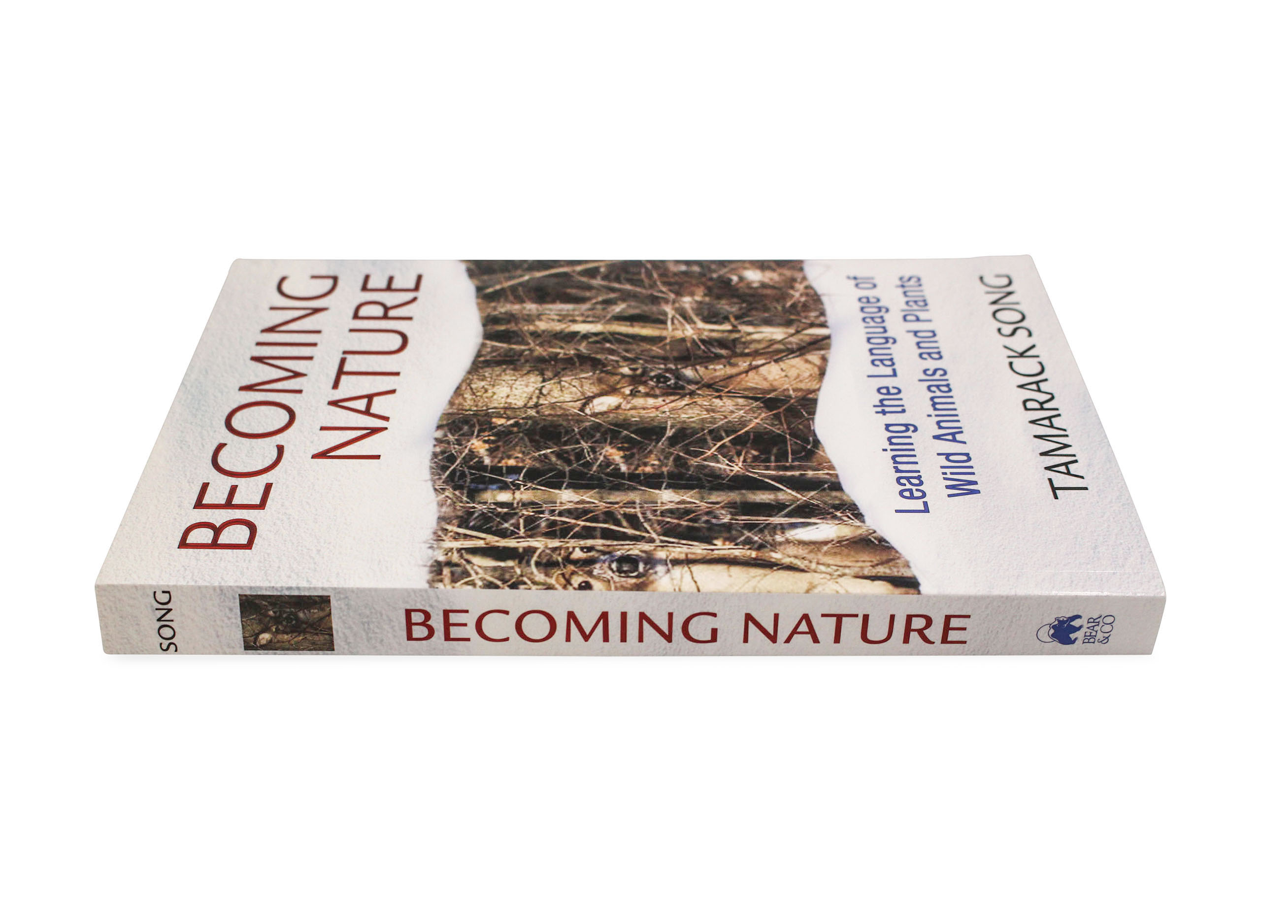 Becoming Nature - Books - Crystal Dreams