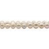 Pearl Beads - Crystal Dreams