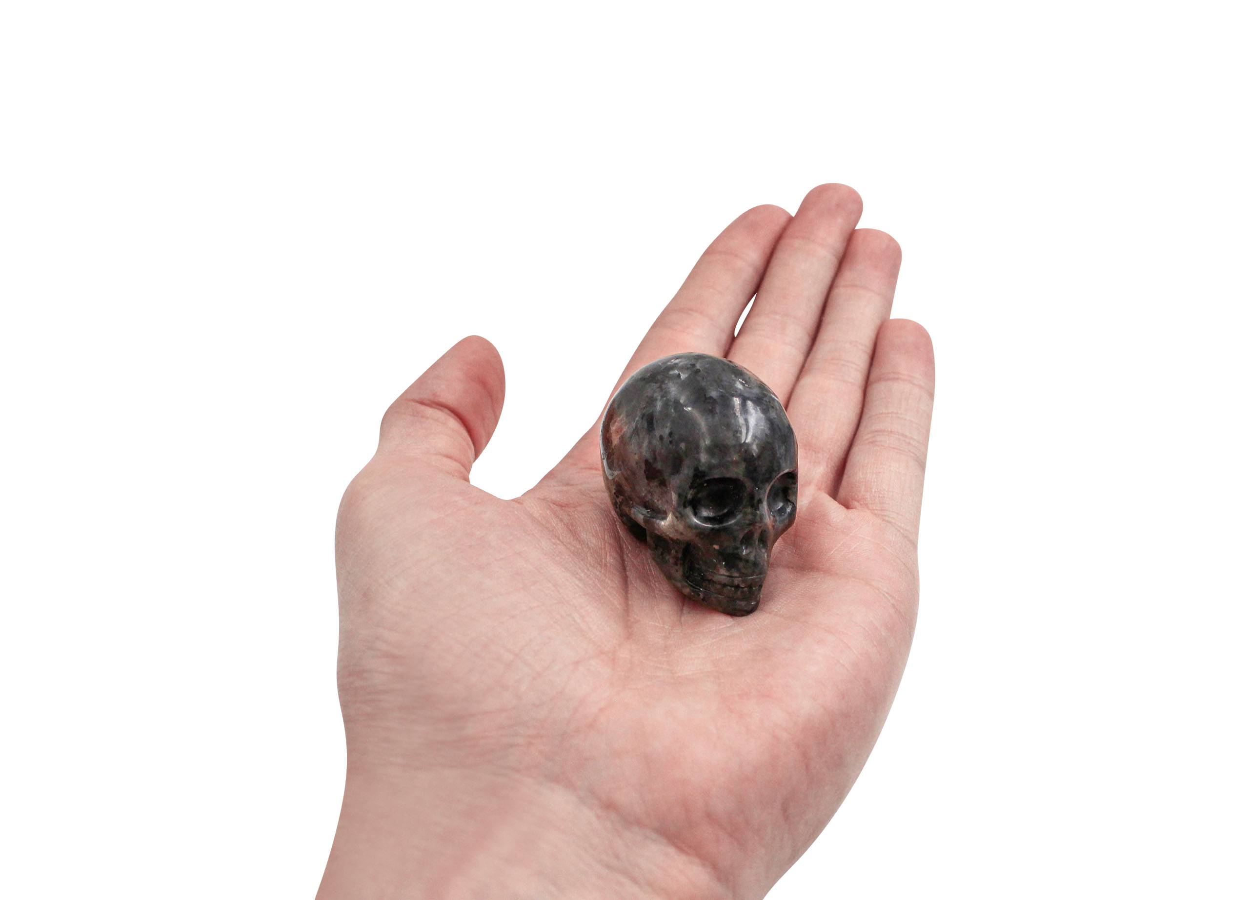 Black Labradorite (Larvikite) - Crâne _ Skull - Crystal Dreams