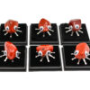 Rock Insect - Red Jasper_ Jaspe Rouge - Crystal Dreams
