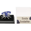 Rock Insect - Sodalite - Crystal Dreams