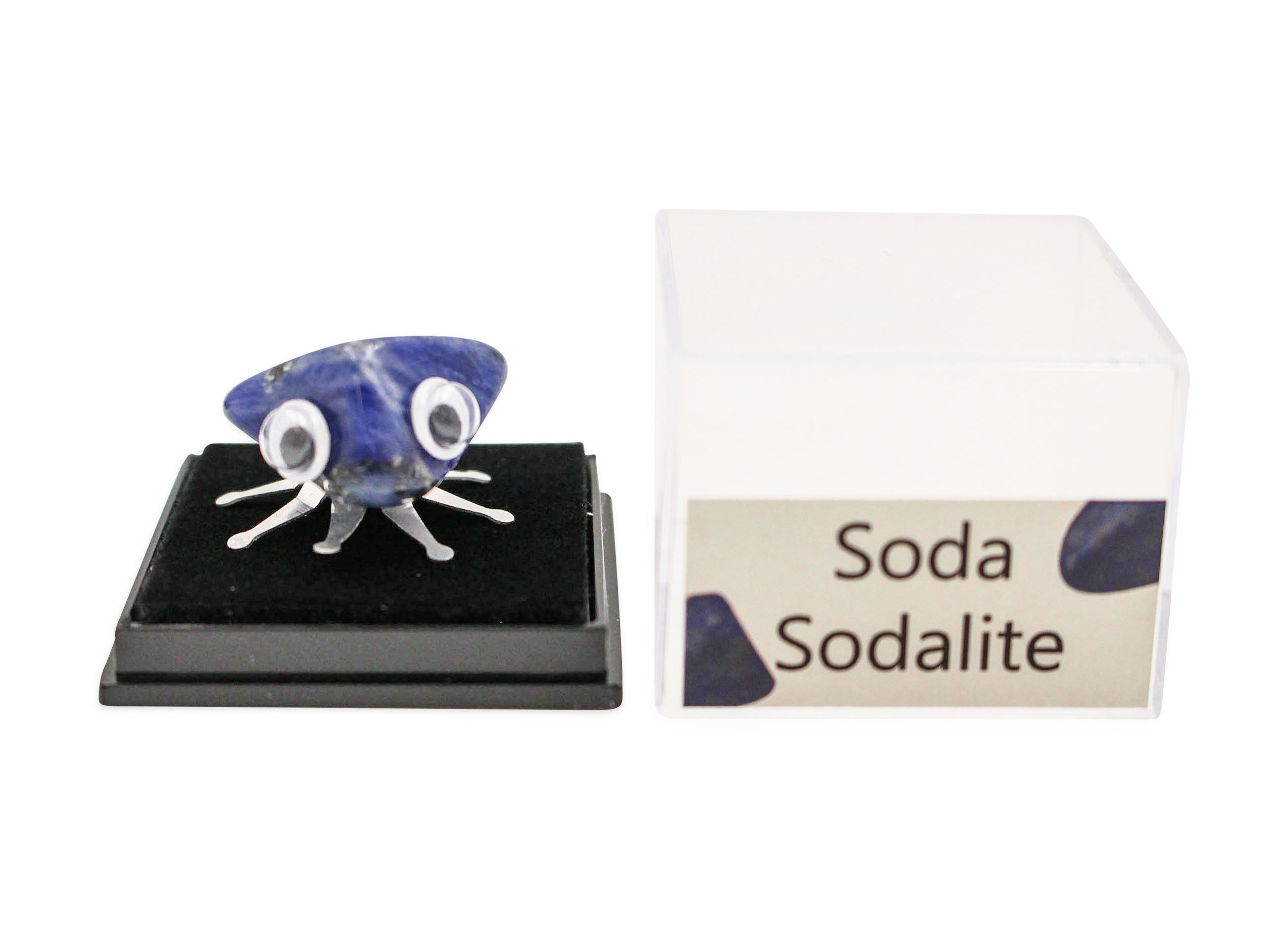 Rock Insect - Sodalite - Crystal Dreams