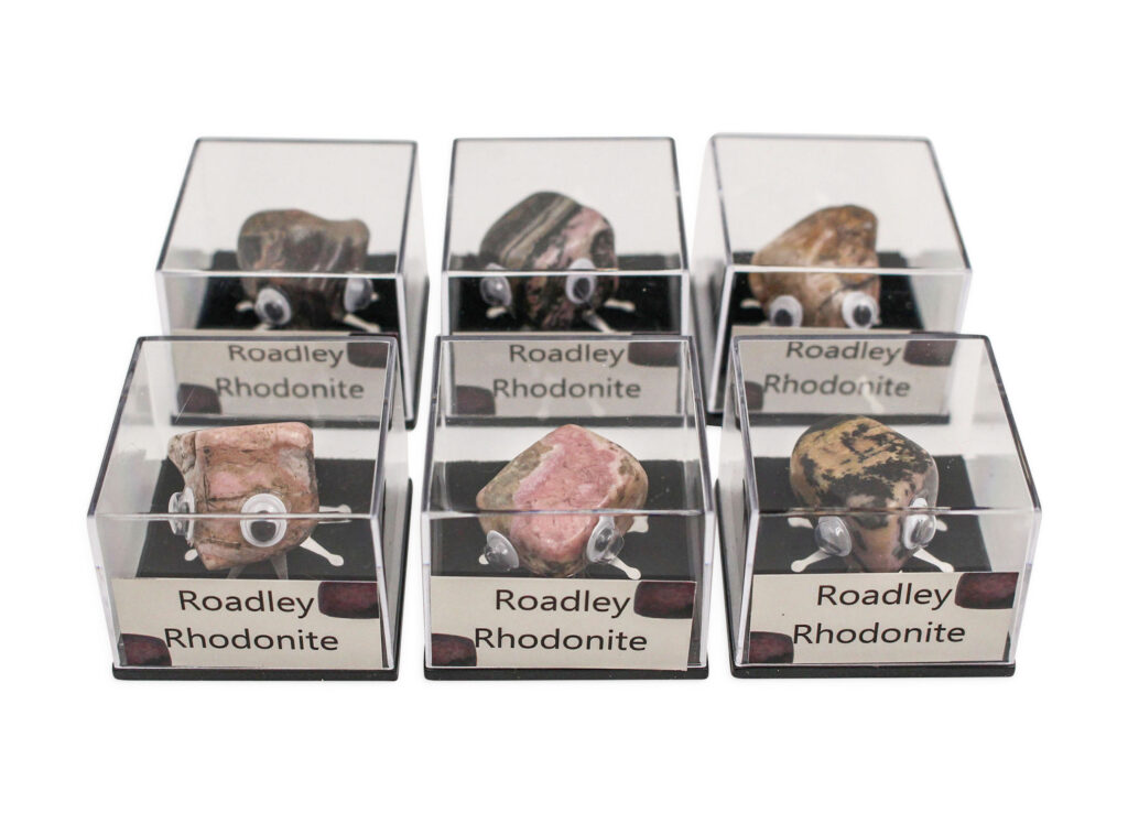Rock Insect - Rhodonite - Crystal dreams