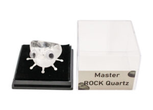 Rock Insect – Clear Quartz