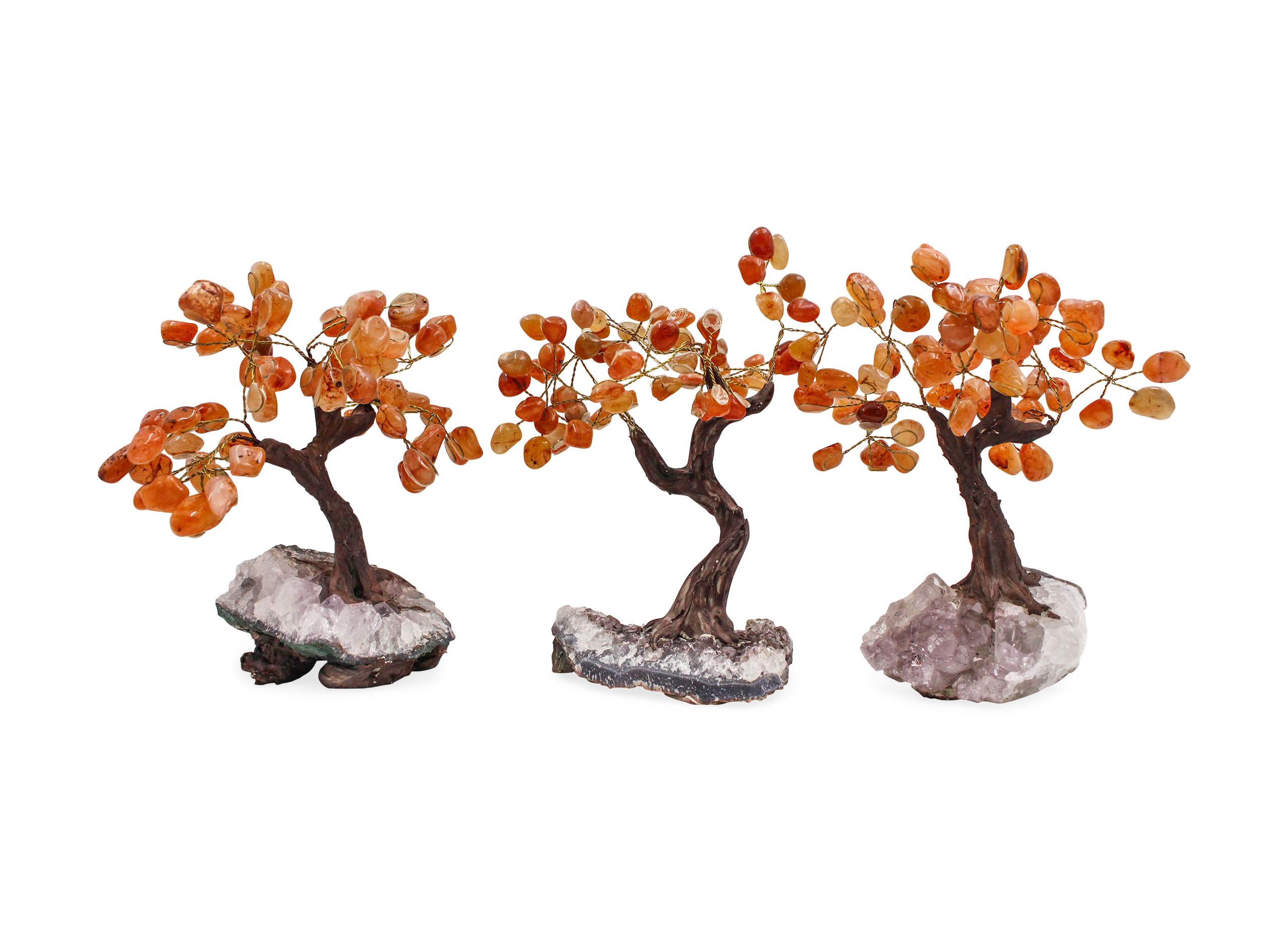 Carnelian Bonsai Tree - Crystal Dreams