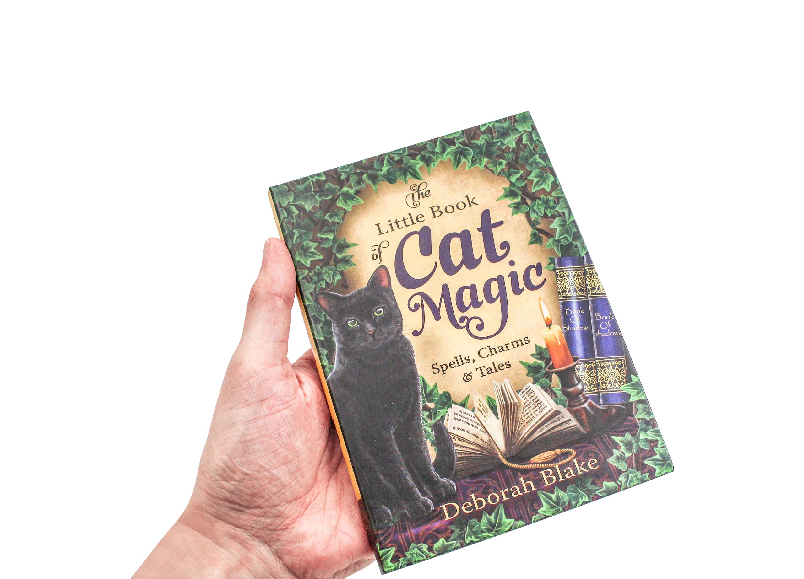 The Little Book of Cat Magic - Books _ Livres - Crystal Dreams