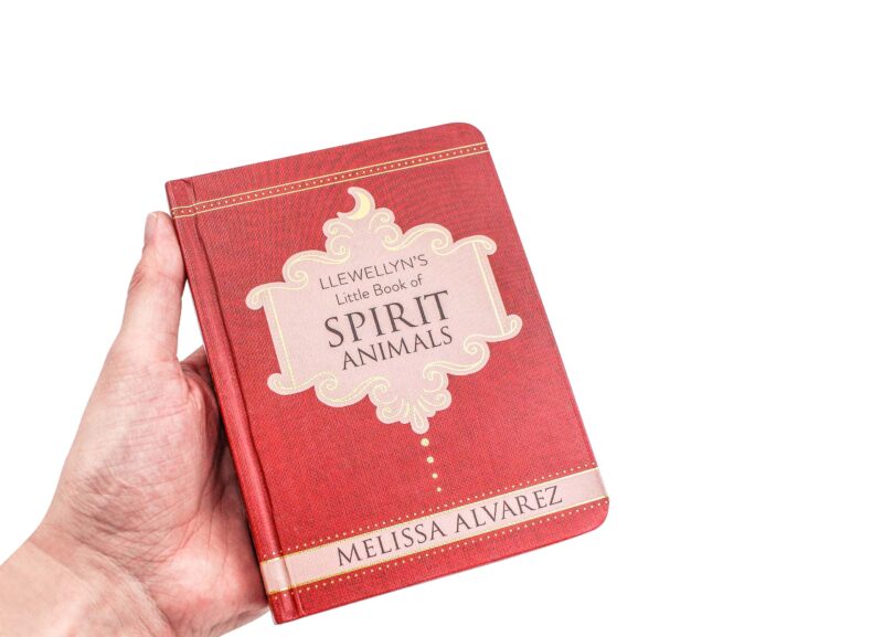 Livre “Llewellyn’s Little Book of Spirit Animals” (version anglaise seulement)