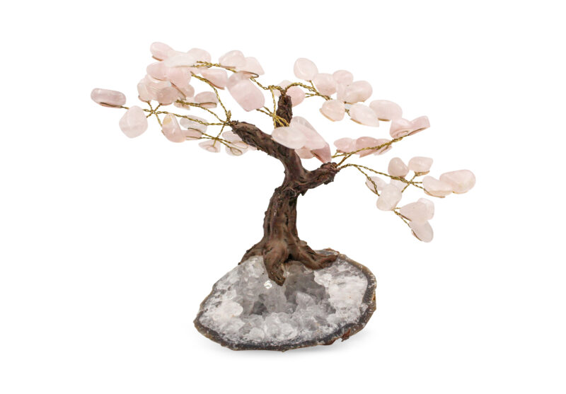 Rose Quartz Bonzai Tree (M) - Crystal Dreams