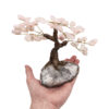 Rose Quartz Bonzai Tree (M) - Crystal Dreams