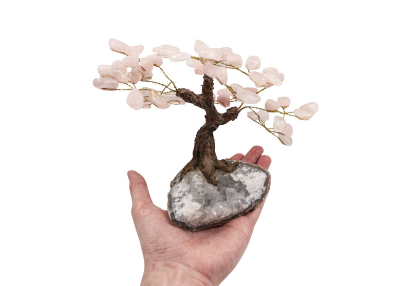 Rose Quartz Bonsai Tree (M)