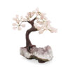 Rose Quartz Bonzai Tree (M) - Crystal Dreams